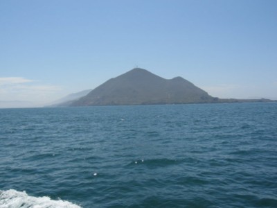 Guadalupe Island